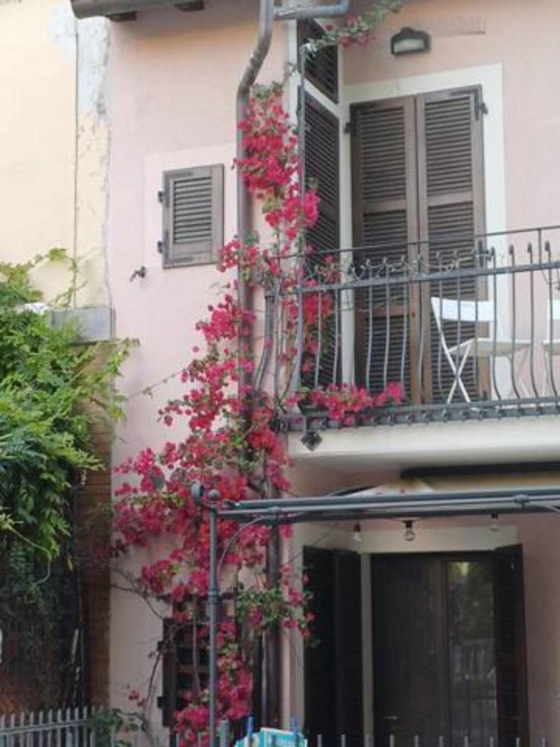 Bouganville House Senigallia Bagian luar foto